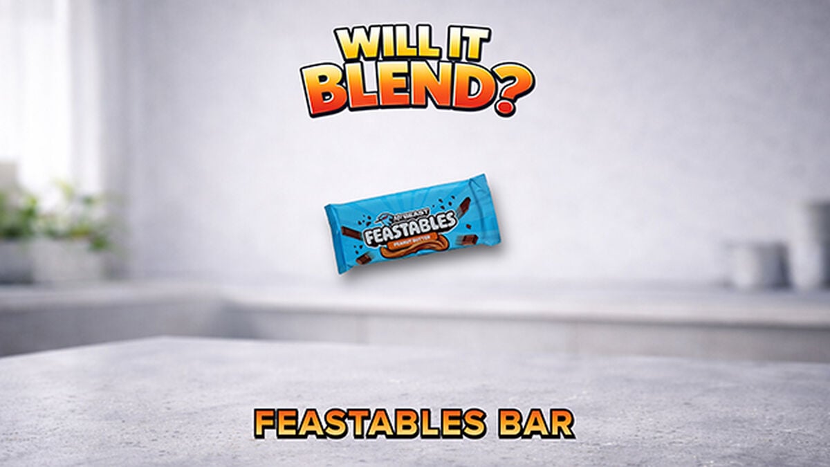 Will It Blend? image number 1
